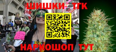 индика Рыбинск