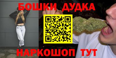 индика Рыбинск